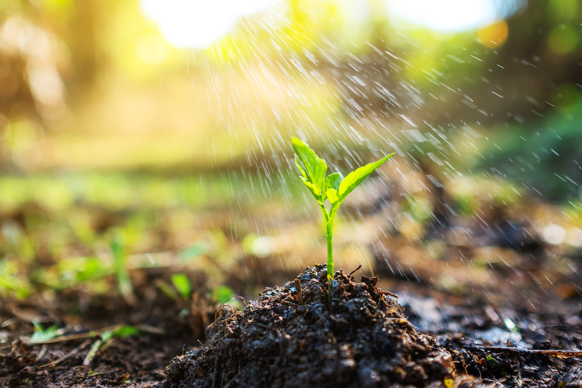 Your Website Should Work Harder: A Growth Playbook for Businesses